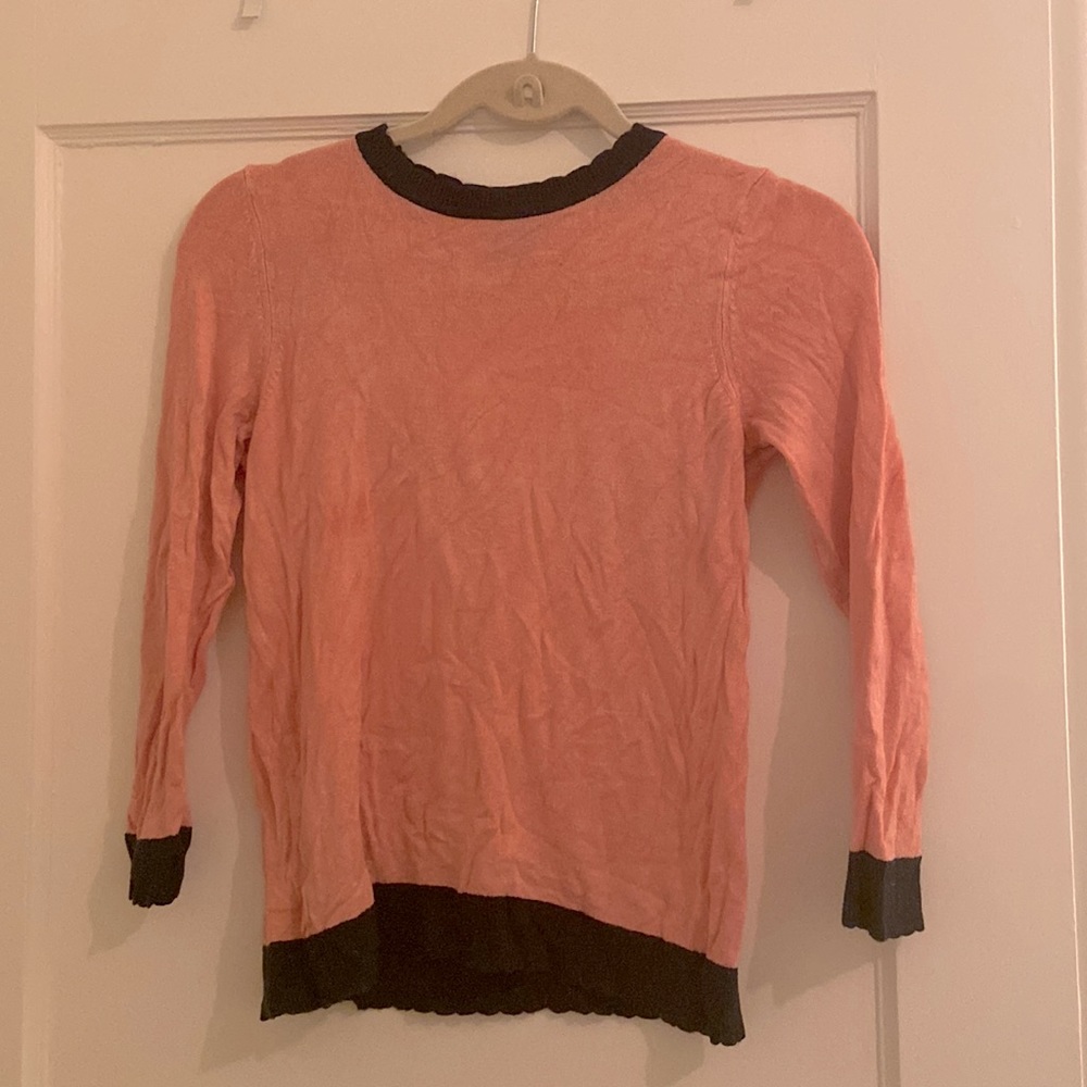 Long sleeve Ann Taylor Pink Blouse with Blue Lining